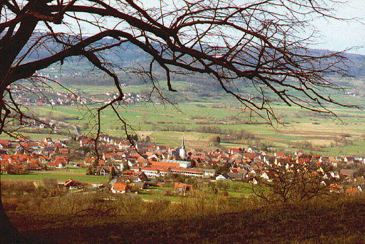 Aussichtspunkt am Walberlakreuz: Blick auf Kirchehrenbach (Mrz 2007)