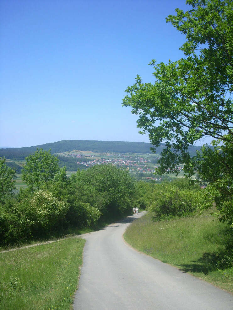 Strae von Kirchehrenbach zum Walberla, Blickrichtung bergabwrts (Juni 2015)