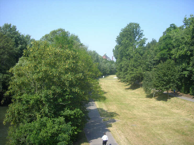 Blick von der Johannisbrcke auf die Pegnitzauen, Blickrichtung fluabwrts. Im Hintergrund erkennt man das Dach des Drer-Gymnasium in der Sielstrae. (Juli 2013) 
