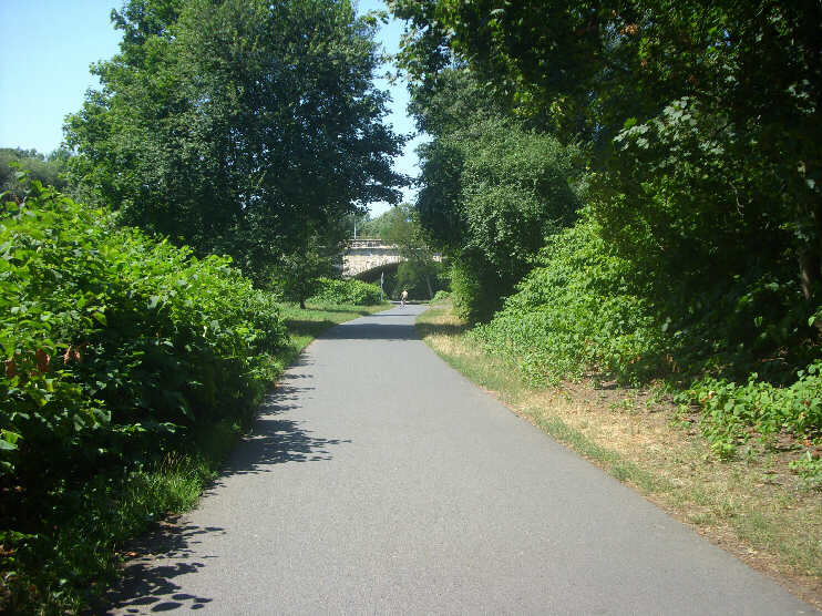 Rad- und Wanderweg durch die Pegnitzauen, Blickrichtung Johannisbrcke (August 2013)