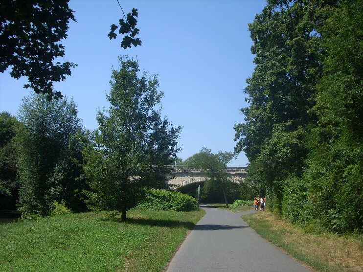 Rad- und Wanderweg durch die Pegnitzauen, kurz vor der Johannisbrcke (August 2013)