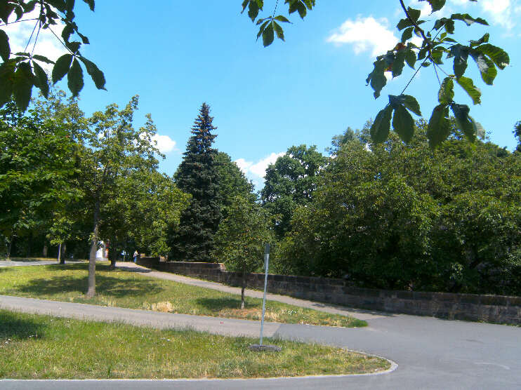 Parkanlage hinter dem Tiergrtnertor, Blickrichtung Vestnertorgraben (Juni 2016)