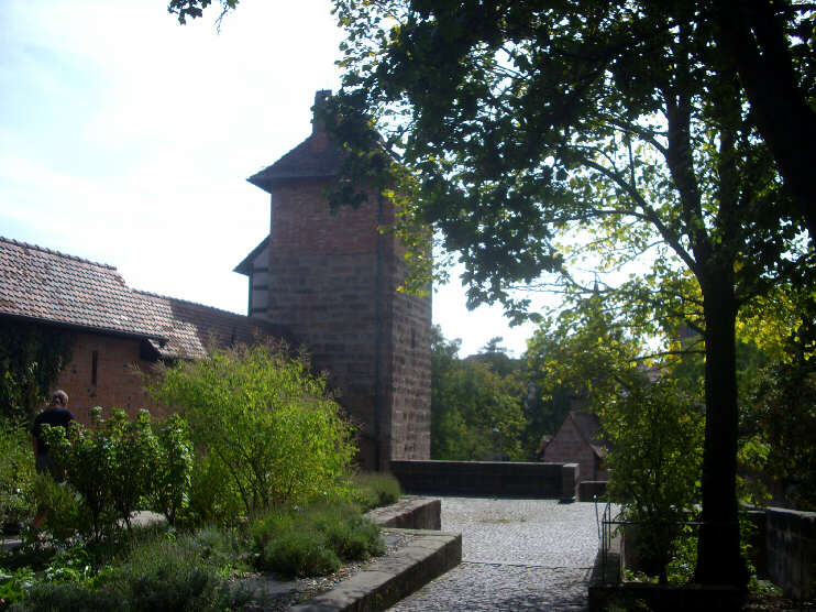 Blick vom Heilpflanzengarten zum Turm Grnes H (September 2009)