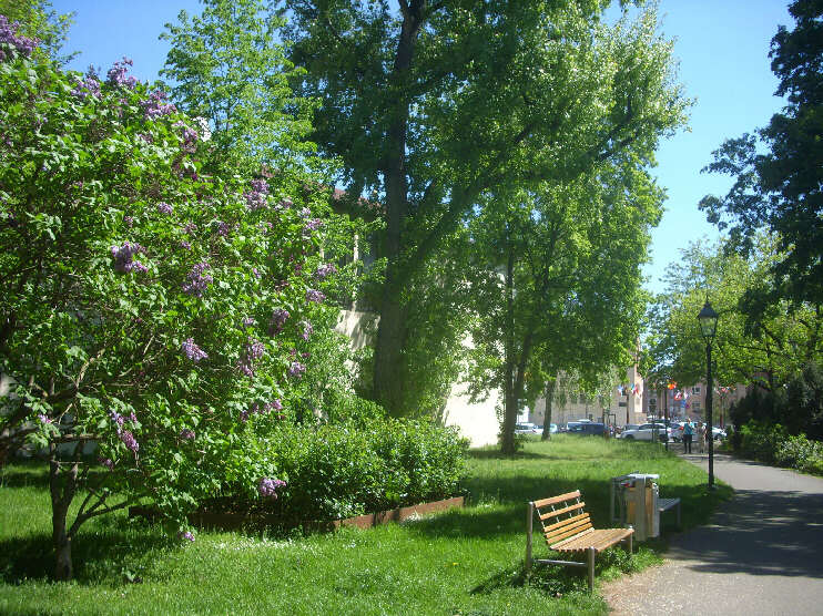 Parkanlage an der Pegnitz nahe der nrdlichen Karlsbrcke (Mai 2016)